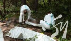 �������� ���� � ������ �������� ���������� 8311 �������� ���, ����� ��� 437 ���� - �����������